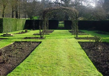 Hedge Cutting – Pamela Rozario Garden Maintenance
